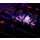 Trust GXT871 ZORA - 1353046 - zdjęcie 5